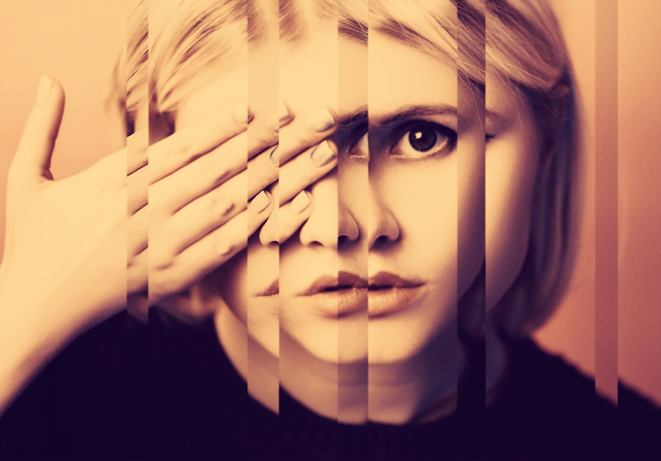 객관적 자기인식